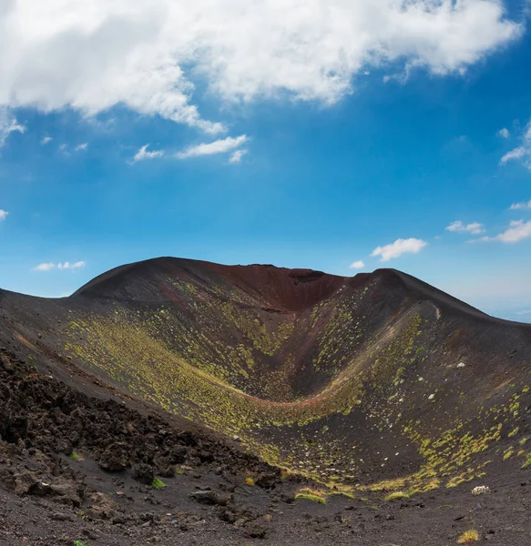 Caminho Entre Verão Etna Crateras Montanha Vulcão Sicília Itália Imagens De Bancos De Imagens Sem Royalties