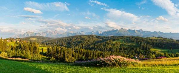 Letní Večer Horské Vesnici Předměstí Domy Vrcholku Kopce Tater Polsko — Stock fotografie