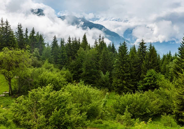 Masywu Mont Blanc Dolina Chamonix Francja Widok Plaine Joux Obrzeżach — Zdjęcie stockowe