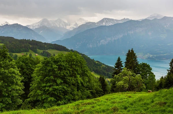Brienzersee Brienzersee Avond Bewolkt Zomer Bovenaanzicht Bern Zwitserland — Stockfoto