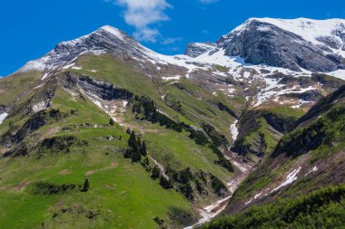 Yaz Alp dağ manzarası (warth, vorarlberg, austria).