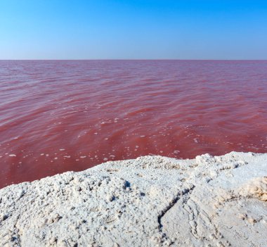 Son derece tuzlu Syvash Gölü kristal tuz ifadeleri ile mikroalg tarafından renkli, pembe. Olarak da bilinen Putrid deniz veya Rotten deniz. Ukrayna, Kherson Region, Crimea ve Arabat tükürük.
