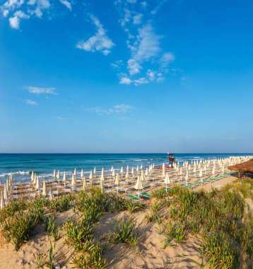 Sabah cennet beyaz kumlu plaj şemsiye ve şezlong (: Salento, Puglia, Güney İtalya) ile. En güzel deniz kumlu plaj Apulia.