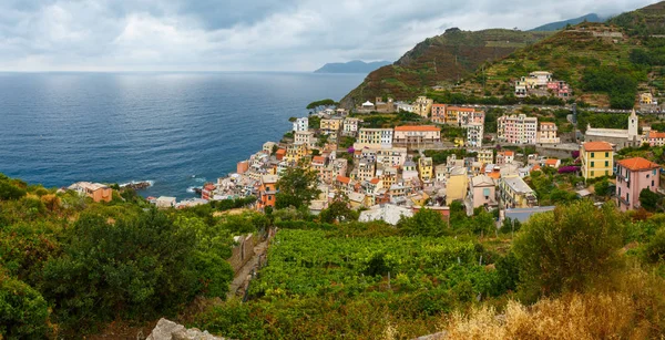 Güzel Yaz Riomaggiore Beş Ünlü Köylerinden Ligurya Denizi Dik Kayalıklarla — Stok fotoğraf