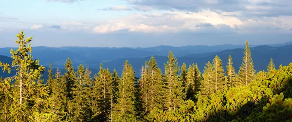 Verano Gorgany Montaña Cresta Vista Desde Cima Del Monte Homiak —  Fotos de Stock