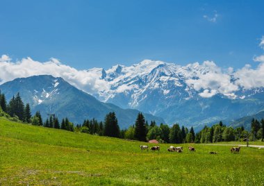 牧牛上一朵朵林间空地和勃朗峰山地块 (夏慕尼山谷，法国，从丑陋难看 joux 郊区的视图).