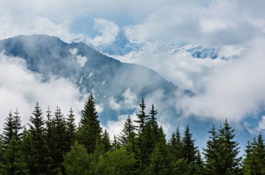 Mont blanc Dağı massif (chamonix valley, Fransa, görünümden plaine joux ilçe sınırı).