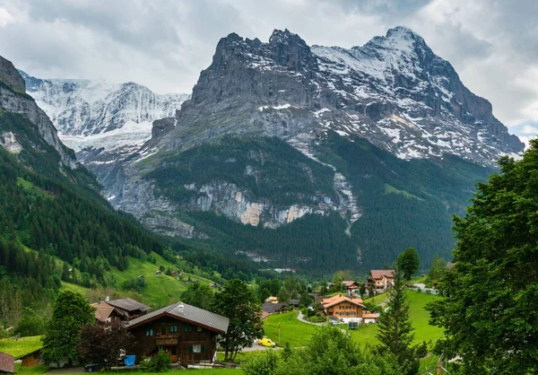 Sommeralpen Berglandschaft Mit Tannenwald Hang Und Schneebedeckten Felsspitzen Der Weiten — Stockfoto