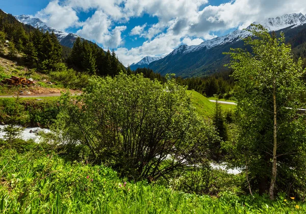 Zomer Berglandschap Van Alpen Met Alpine Rivier Weg Silvretta Alpen — Stockfoto
