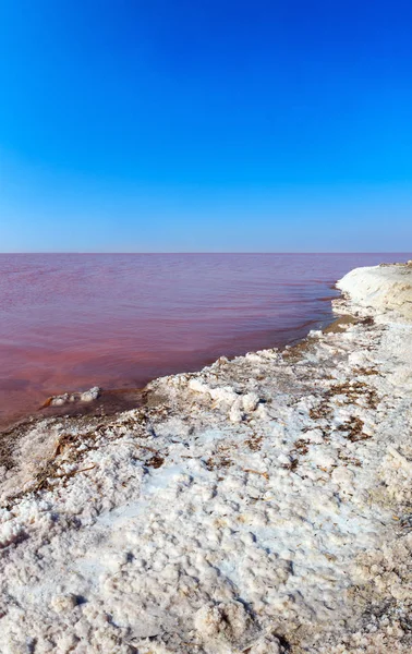 Rosa salado Syvash Lake, Ucrania — Foto de Stock