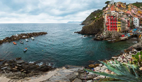 Verão Aldeia de Manarola costa, Cinque Terre — Fotografia de Stock