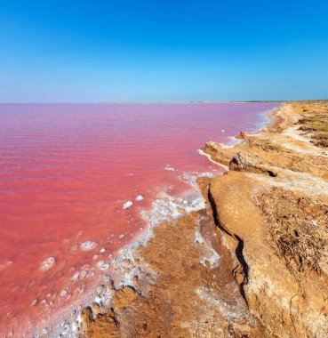 Pembe tuzlu Syvash Gölü, Ukrayna