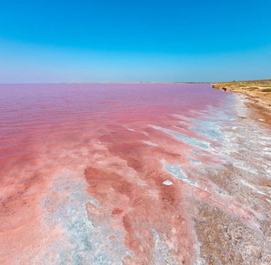 Pembe tuzlu Syvash Gölü, Ukrayna