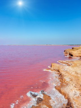Pembe tuzlu Syvash Gölü, Ukrayna