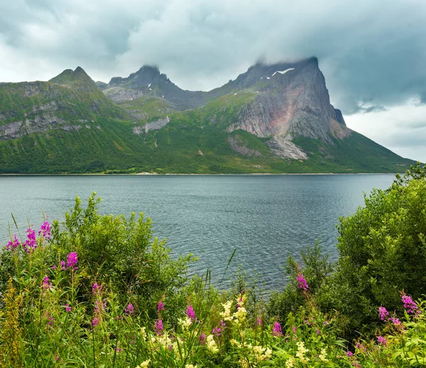 Fjord Sommer bewölkt Aussicht, Norwegen — Stockfoto