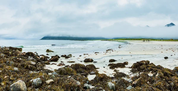 Yaz bulutlu Ramberg plaj, Norveç, Lofoten — Stok fotoğraf