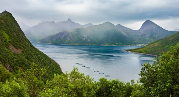 Sommaren Senja kust, Husoy, Norge — Stockfoto