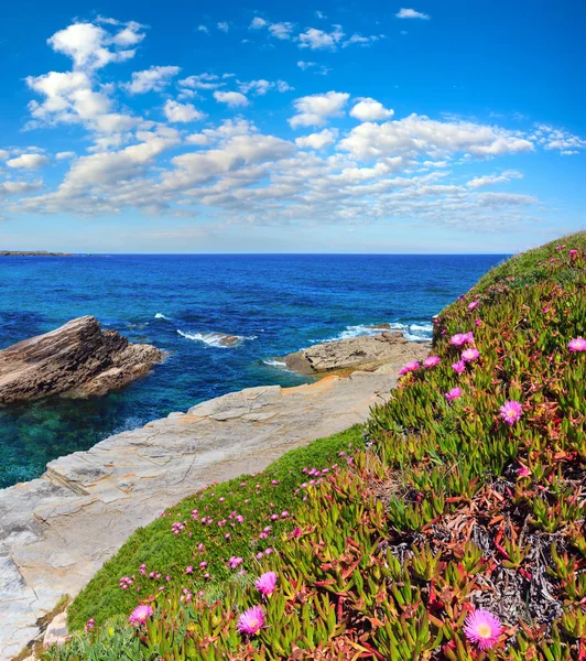 Atlantic blossoming coastline (Spain). — Stock Photo, Image