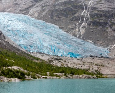 Nigardsbreen buzul kadar gelen, Norveç
