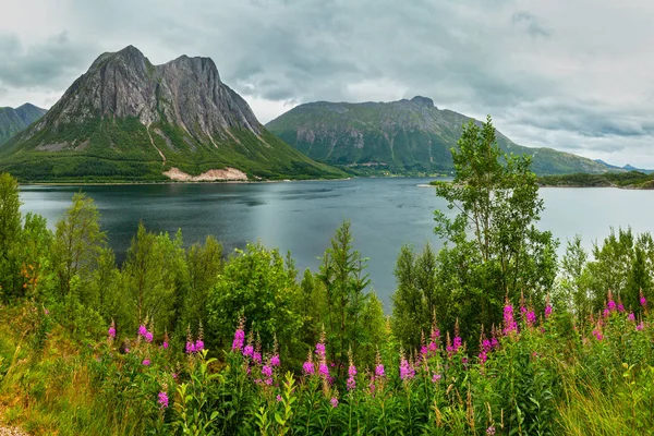 Fjord Sommer bewölkt Aussicht, Norwegen — Stockfoto