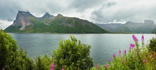 Fjord summer cloudy view, Norway — Stock Photo, Image
