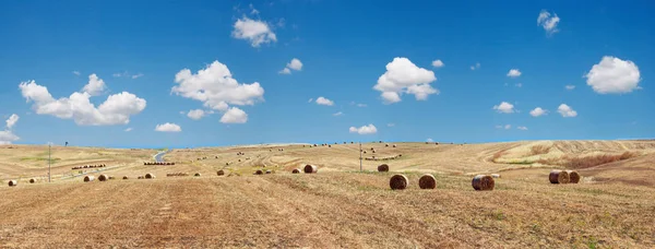 Sicily nyári mezőgazdasági vidék, Olaszország. — Stock Fotó
