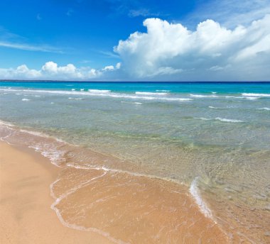 Deniz plajında sörf.