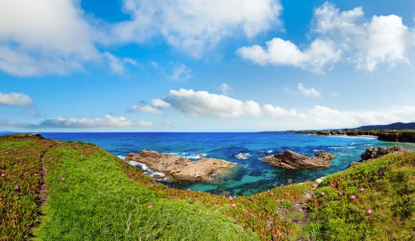 Costa in fiore atlantica (Spagna ). — Foto Stock