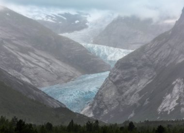 Nigardsbreen buzul kadar gelen, Norveç