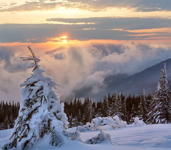Sunrise téli hegyi táj (Kárpáti). — Stock Fotó