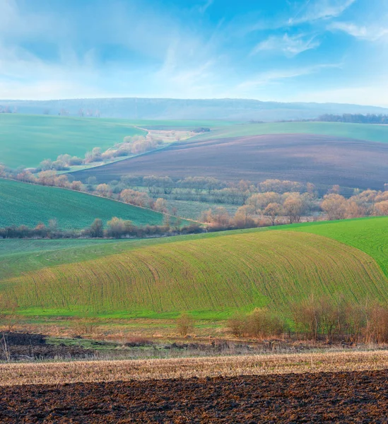 Spring morning arable and growth fields and countryside. — Stock Photo, Image