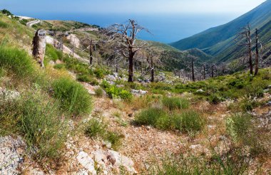 Yaz Llogara pass, Arnavutluk