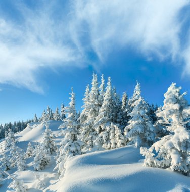 Snowdrifts kış kar kaplı dağın üzerinde