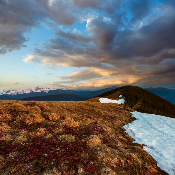 Jaro Sunset v Karpatských horách — Stock fotografie