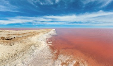 Pembe tuzlu Syvash Gölü, Ukrayna