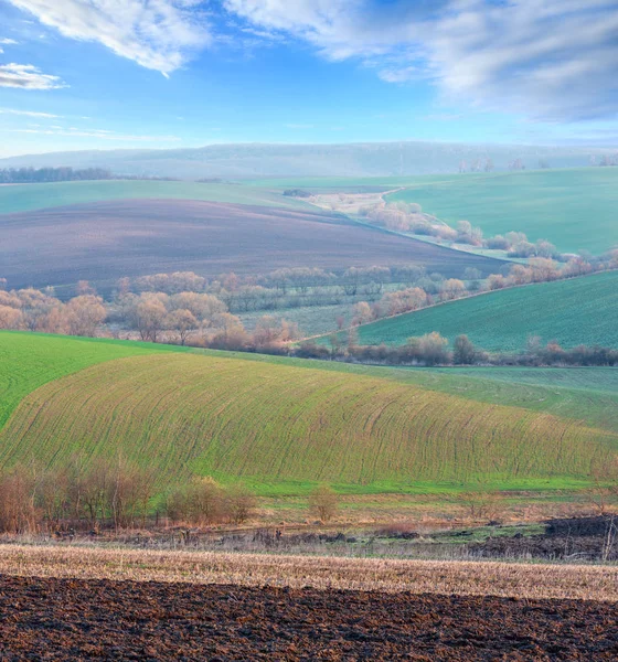 Spring morning arable and growth fields and countryside. — Stock Photo, Image