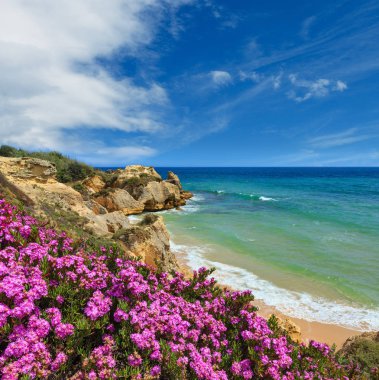 Atlantik çiçek açan sahil manzarası, Algarve, Portekiz