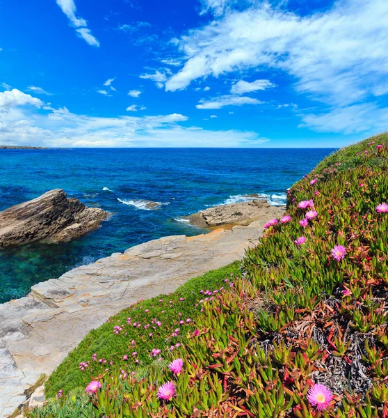 Costa atlántica floreciente, España — Foto de Stock