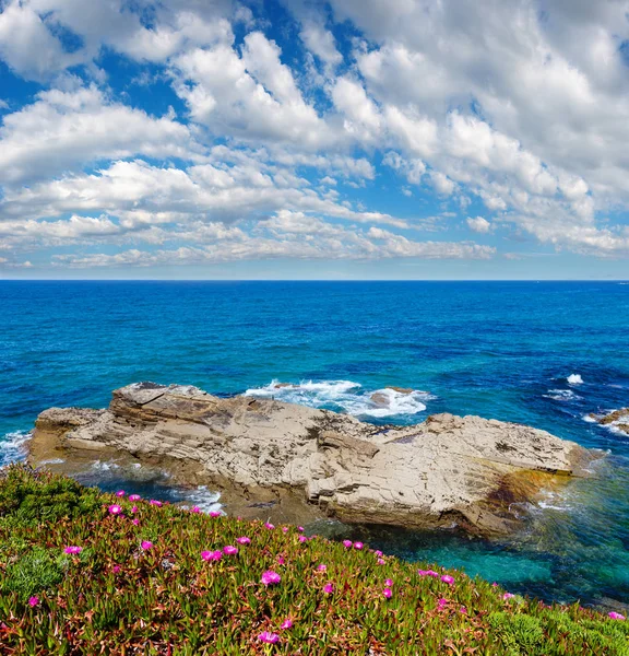 Атлантическое цветущее побережье (Испания) ). — стоковое фото