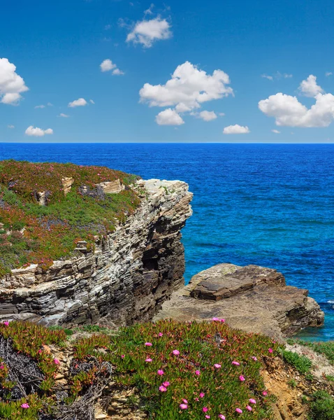 Léto rozkvetlé Atlantické pobřeží, Španělsko — Stock fotografie