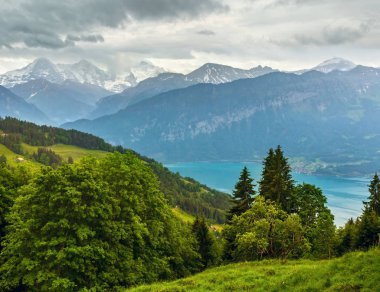 Göl Brienz yaz Üstten Görünüm (İsviçre).
