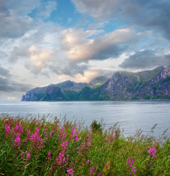 Côte d'été Senja (Norvège ) — Photo