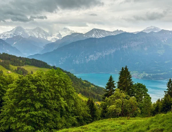 Brienzsjön sommaren ovanifrån (Schweiz). — Stockfoto