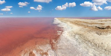 Pembe tuzlu Syvash Gölü, Ukrayna