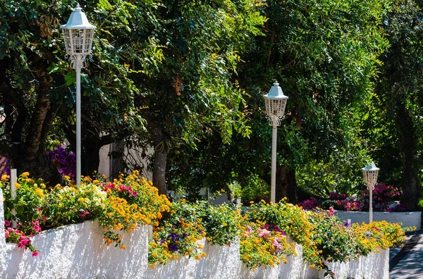 Blossoming town street, Itália . — Fotografia de Stock