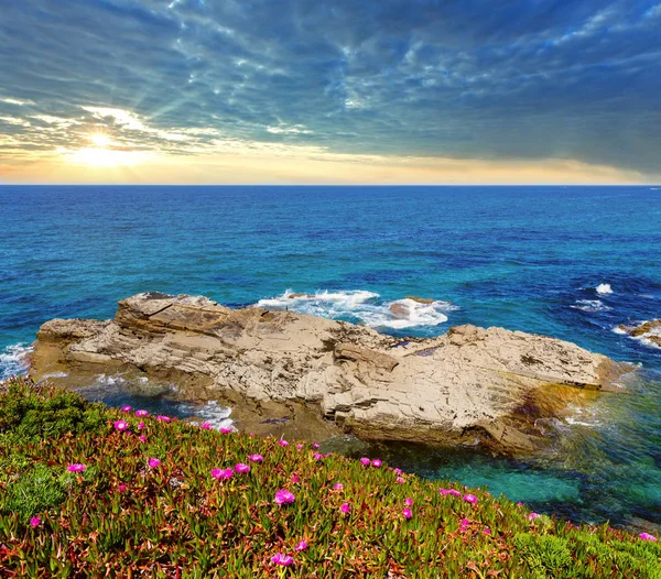 Costa atlántica floreciente (España) ). —  Fotos de Stock