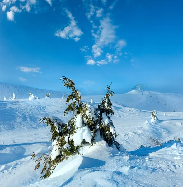 Besneeuwde en ijzige sparren op winter heuvel. — Stockfoto