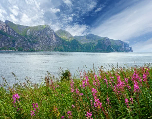 Sommer senja Küste (Norwegen) — Stockfoto