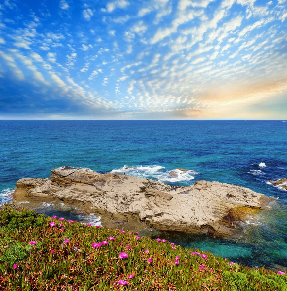 Costa atlántica floreciente, España —  Fotos de Stock