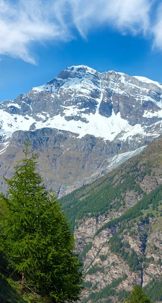 Καλοκαίρι Άλπεις βουνό — Φωτογραφία Αρχείου